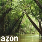 10 Maneiras de Reduzir o Impacto na Amazônica
