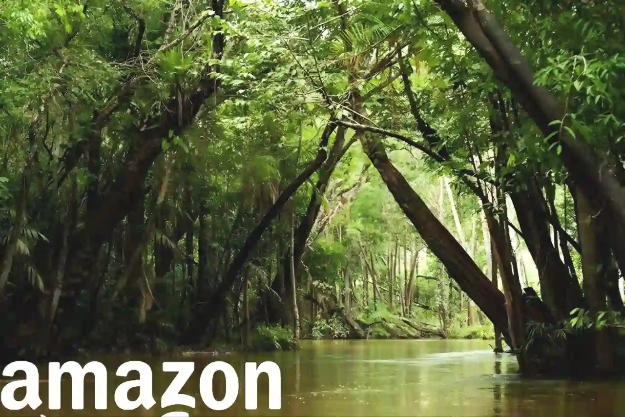 10 Maneiras de Reduzir o Impacto na Amazônica